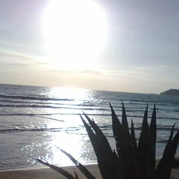 شقة Mansardina Sassu ألغيرو الغرفة الصورة